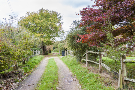 a dirt road through a coutryside with autumn trees and fences on both sidesの写真素材