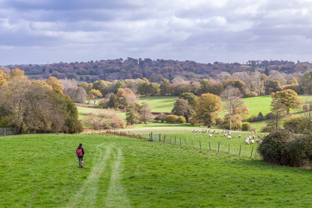 a person walking through an English countryside in autumnの写真素材