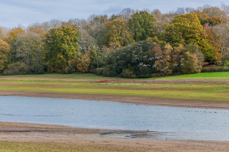 valley of the River Bewl in Kent in autumnの写真素材