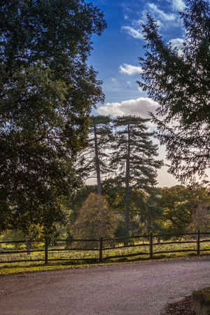 a road leading to Scotney Castle on sunny day in Kent, Englandのeditorial素材