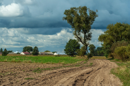 countryside on a summer day with blue sky and green meadowの写真素材