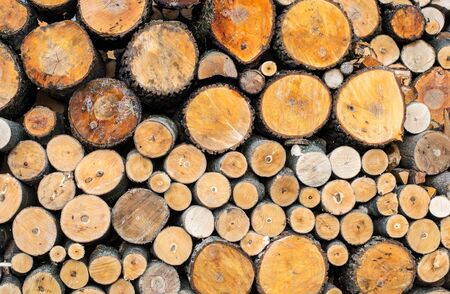 Photo of freshly chopped firewood, wooden backgroundの写真素材