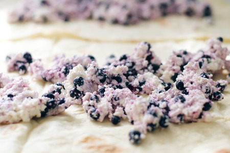 Cottage cheese and blueberry lying on a dough, selective focusの写真素材