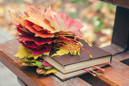 A book with colored leaves embedded in it lies on a bench in the park in autumnの写真素材