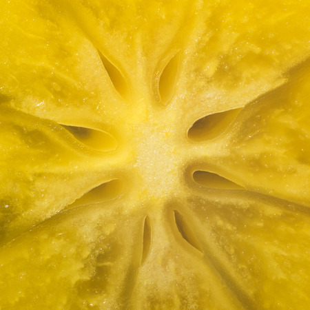 Photo of a ripe yellow persimmon cut, close-up, macroの写真素材