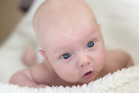 Portrait of a newborn baby lying on his stomachの写真素材