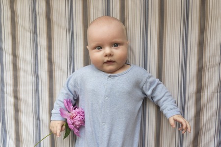 A small child holds a large pink peony flower