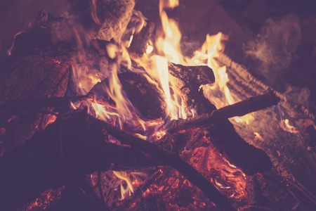 Burning branches of trees in the fire at night, close-up, tonedの写真素材