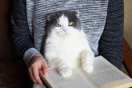 The girl is reading a book and holding a cute big catの写真素材