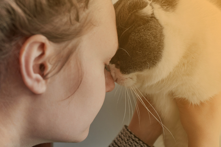 The girl hugs her cute cat, close-up, toned, the theme of friendship with petsの写真素材