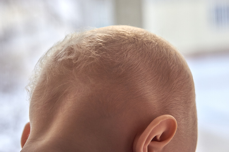 Photo of children's nape with sparse white hair, close-upの写真素材