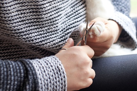 A woman cuts the claws of a cute cat with nail scissors, pet care