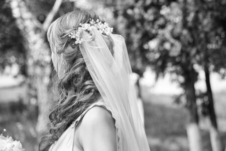 The back of a young bride with a veil in nature, black and white photoの写真素材