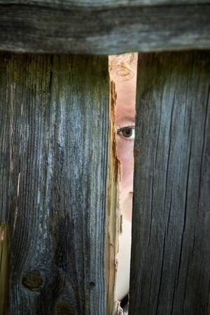 A woman spies through the crack of a wooden fence neighborsの写真素材