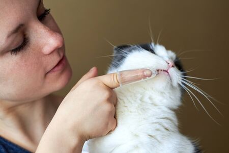 Woman brushes cat's teeth with a silicone toothbrush on her finger.の写真素材