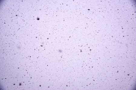 Dust and small debris on the camera matrix, close-up.の写真素材