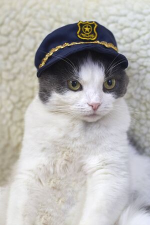 Portrait of a cute funny cat in a police hat.の写真素材