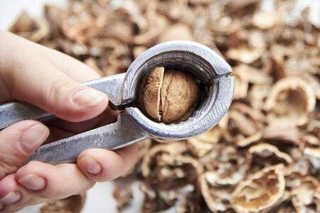 Nutshell with a walnut in the hands of a woman on a background of nuts, the theme of healthy nutrition, vegetarianism, raw food diet.の写真素材