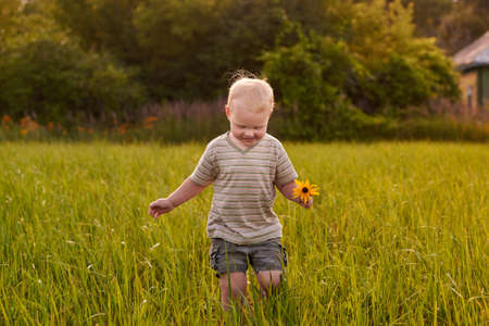 A two-year-old blond-haired laughing boy standing in the grass with a flower in a village. Happy childhood.の写真素材