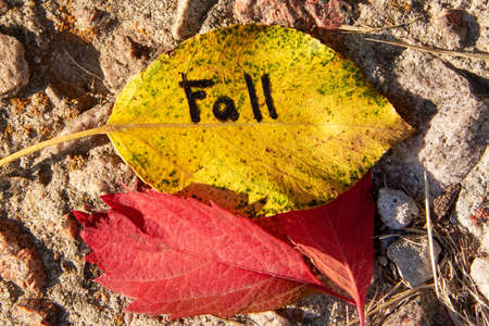 The inscription Fall is written on a yellow leaf against a background of stones.