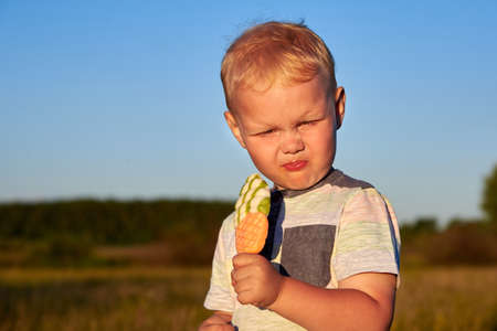 A two-year-old blonde boy eats a lollipop in the form of ice cream in a summer meadow. Summertime.の写真素材