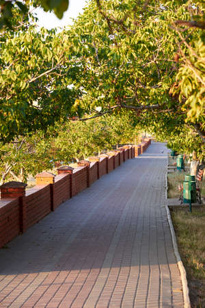 An empty alley in a city park, benches, rubbish bins, a brick fence.の写真素材