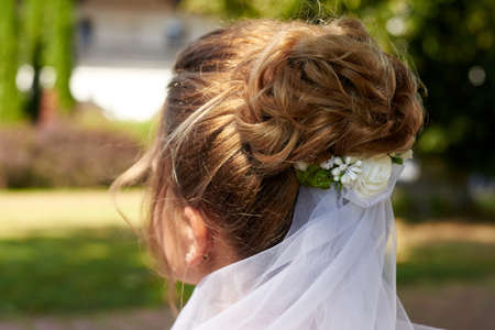 Styled bride hair, floral decorations, veil, back view close-upの写真素材
