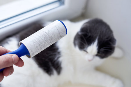 Roller for cleaning clothes in the cat's fur, the cat in the background.の写真素材