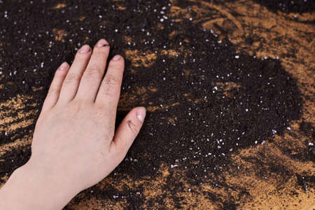 A woman farmer runs her hand along the black earth on a wooden background.