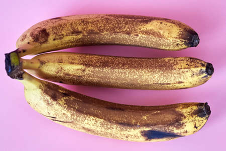 Three overripe bananas in brown spots on a pink background.の写真素材