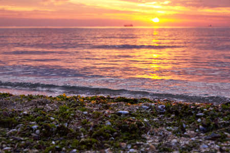 Seashell beach with seaweed at sunrise, sunlight and waves out of focus.