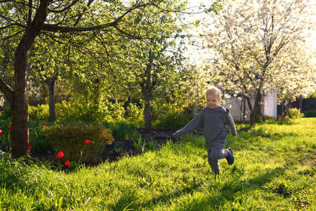 A three-year-old joyful boy runs on the grass in a blooming garden in spring.の写真素材