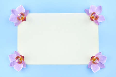 Blank paper with orchids on a blue background, copy space.の写真素材