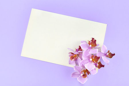 Blank paper with orchids on a blue background, copy space.の写真素材