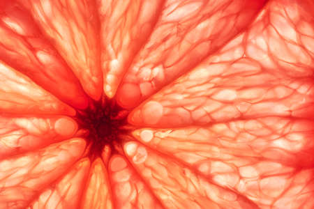 Close-up of sliced ripe grapefruit, macro, creative background.の写真素材