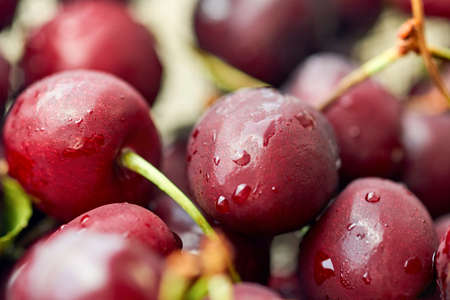 Berries of ripe sweet cherries in water drops, close-up.