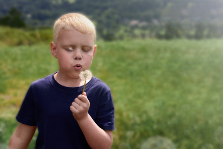 A cute boy blows a dandelion in the summer.の写真素材
