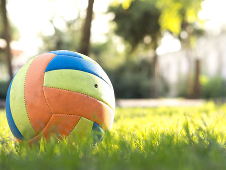 volleyball ball standing on the grass. Volleyball ball on greenery field in parkの写真素材