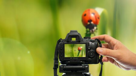 macro nature photography with dslr camera