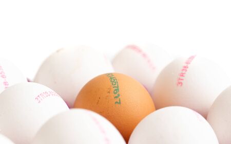 one chicken egg in white chicken eggs and the numbers on them