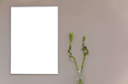 empty frame and floral decoration on the wall. copy space wall frameの写真素材