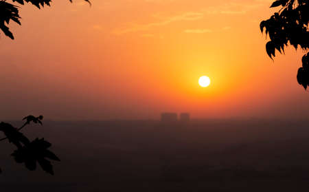 sunset sun view through tree leavesの写真素材