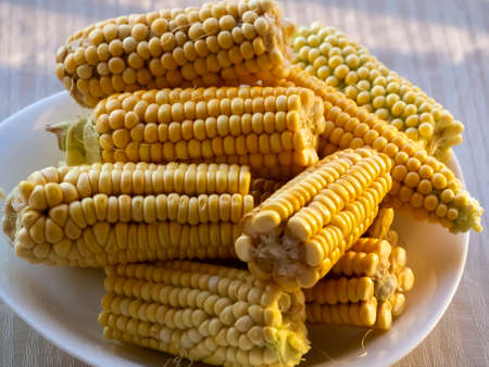 organic raw corn cobs in plate