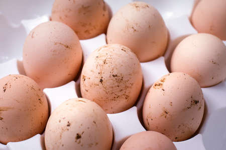 brown-colored organic eggs covered with chicken droppings
