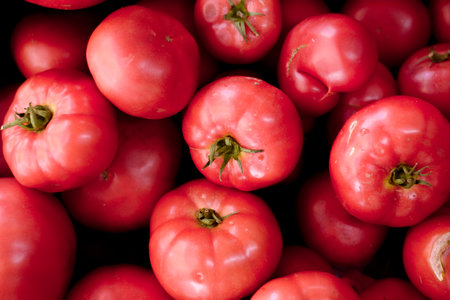 natural field tomato in pink colorの写真素材