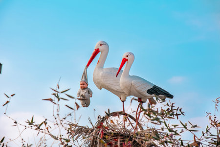 stork carrying a baby in its mouthの写真素材