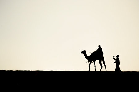 Silhouette of tourists on a camel safari in the desert in Doha, Qatarの写真素材