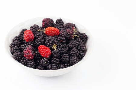 Fresh Blackberry In White Bowl Isolated On White Backgroundの写真素材