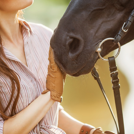 Beautiful woman and horse. Backlight.の写真素材