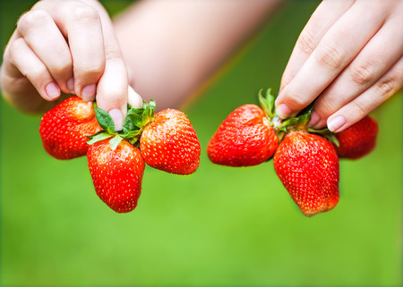 Strawberry in handsの写真素材